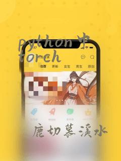 python中torch