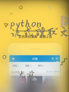 python 流式读取文件