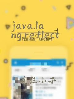 java.lang.reflect