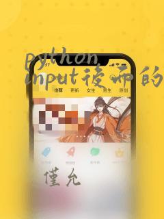 python input后面的代码不执行