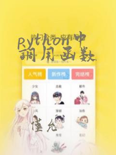 python中调用函数