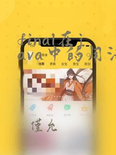 final在java中的用法