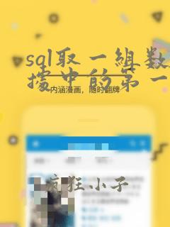 sql取一组数据中的第一个