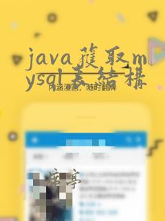 java获取mysql表结构