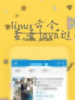 linux命令查看java进程