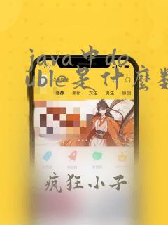 java中double是什么数据类型