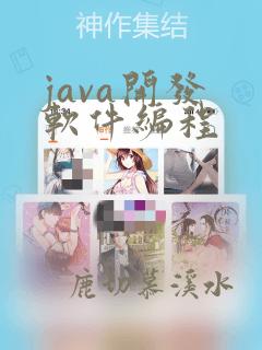 java开发 软件编程