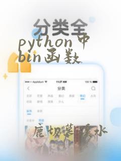 python中bin函数