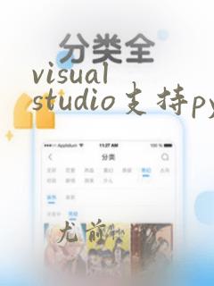 visual studio支持python吗