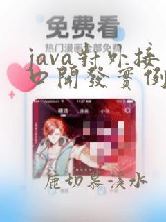 java对外接口开发实例