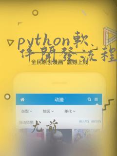 python软件开发流程