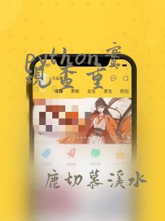 python实现查重