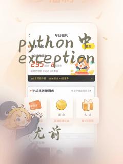 python中exception