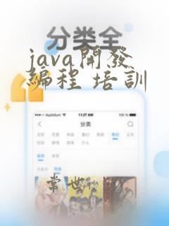 java开发 编程 培训