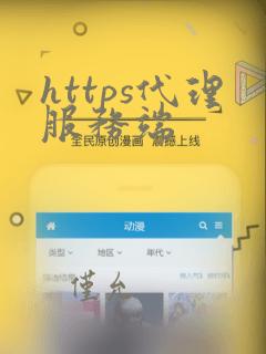 https代理服务端