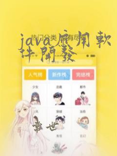 java应用软件开发