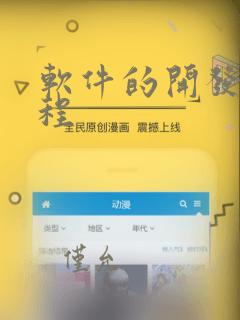 软件的开发和编程