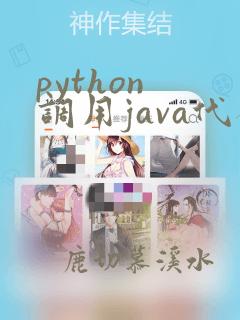 python 调用java代码