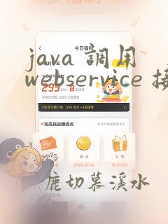 java 调用webservice 接口