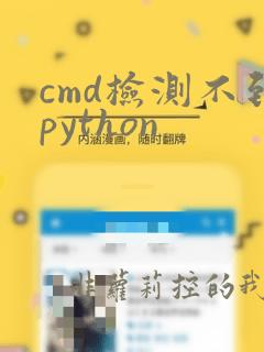 cmd检测不到python