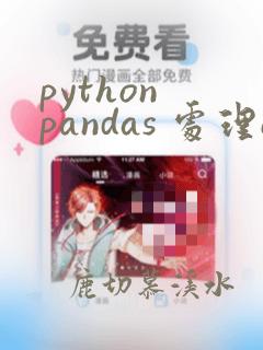 python pandas 处理excel