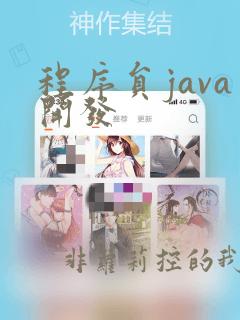 程序员java开发