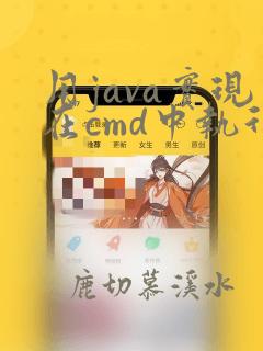 用java实现在cmd中执行命令