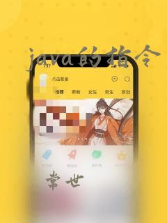 java的指令
