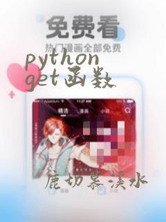 python get函数