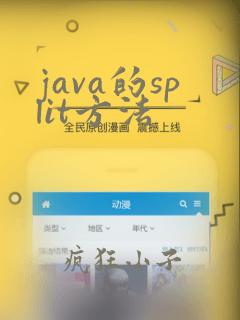java的split方法
