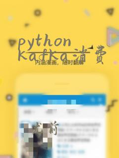 python kafka消费