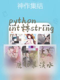 python int转string
