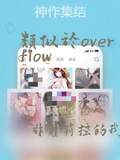 类似于overflow