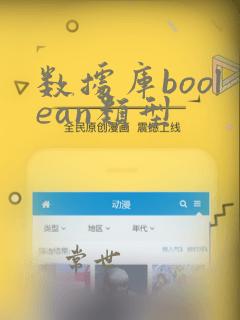 数据库boolean类型