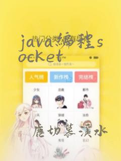 java编程socket