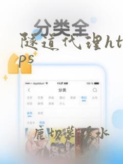 隧道代理https