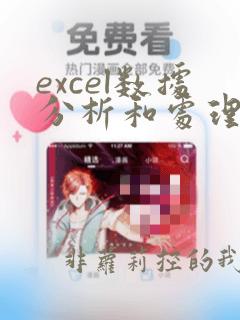 excel数据分析和处理
