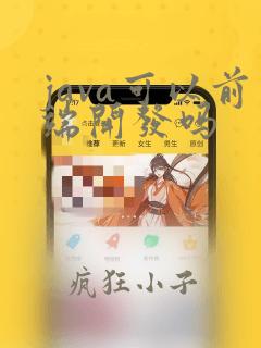 java可以前端开发吗