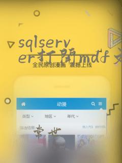sqlserver打开mdf文件