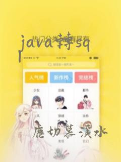 java转sql