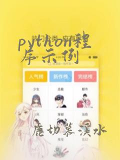 python程序示例
