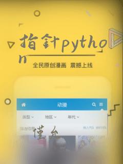 指针python