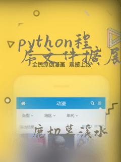 python程序文件扩展名