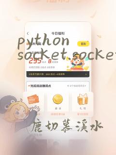 python socket.socket
