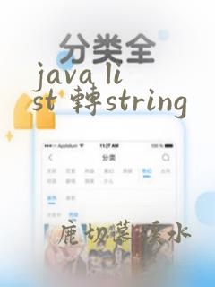 java list 转string