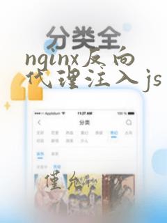 nginx反向代理注入js