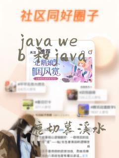 java web 和java