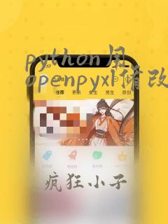 python用openpyxl修改已有excel