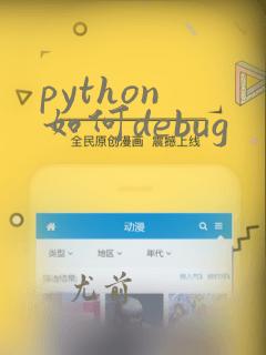 python 如何debug
