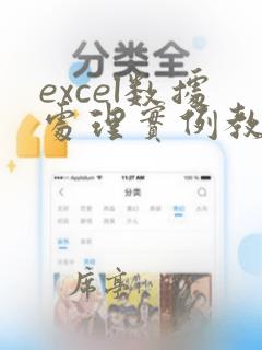 excel数据处理实例教程